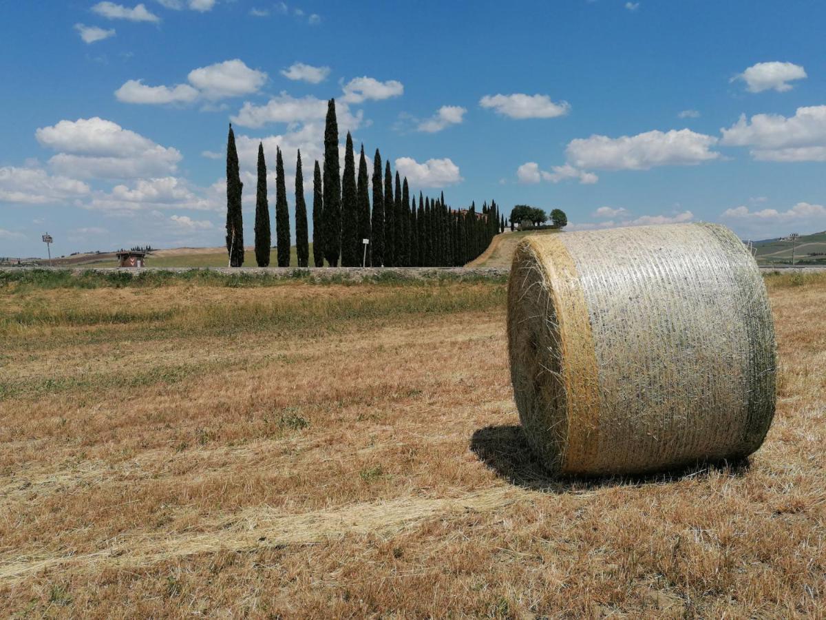 Vila Agriturismo La Poderina Bagno Vignoni Exteriér fotografie