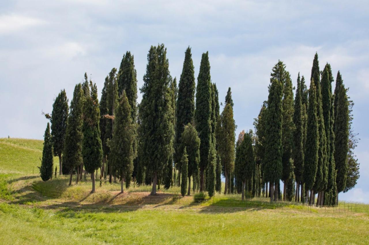 Vila Agriturismo La Poderina Bagno Vignoni Exteriér fotografie