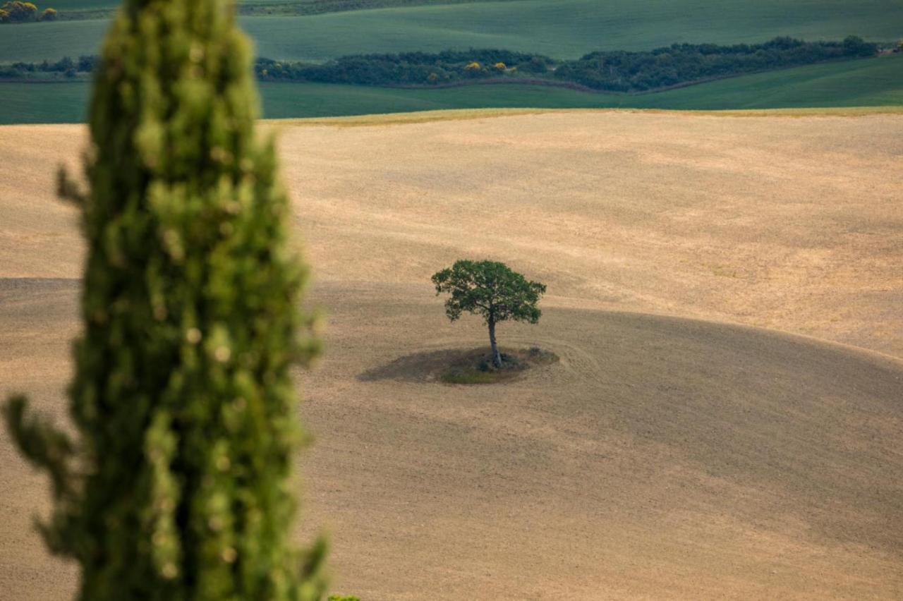 Vila Agriturismo La Poderina Bagno Vignoni Exteriér fotografie