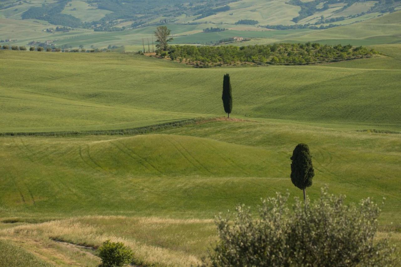 Agriturismo La Poderina Bagno Vignoni Exteriér fotografie