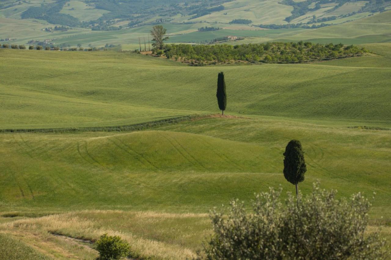 Vila Agriturismo La Poderina Bagno Vignoni Exteriér fotografie